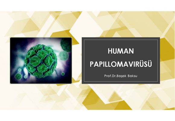 Human Papillomavirüsü (HPV)