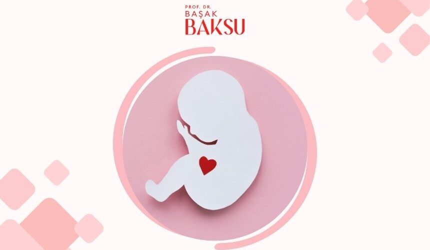 Yüksek Riskli Gebelik ve Fetal Sağlık İzlemi