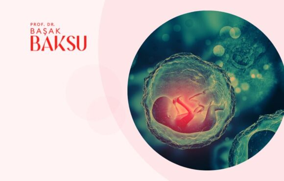 Fetal Gelişim: Hafta Hafta Bebeğinizin Değişimi
