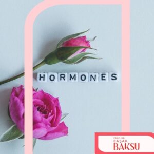 Kadın Sağlığı Üzerinde En Etkili Hormonlar ve İşlevleri