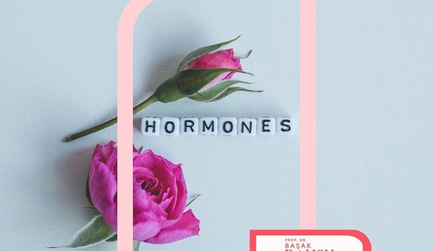 Kadın Sağlığı Üzerinde En Etkili Hormonlar ve İşlevleri Kadın Sağlığı Üzerinde En Etkili Hormonlar ve İşlevleri